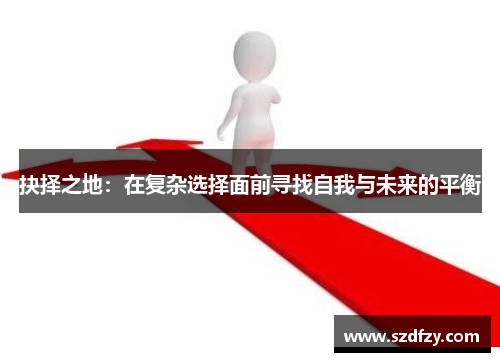 抉择之地：在复杂选择面前寻找自我与未来的平衡