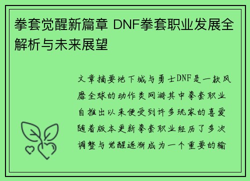 拳套觉醒新篇章 DNF拳套职业发展全解析与未来展望